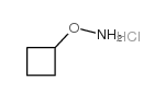 O-环丁基羟胺盐酸盐结构式