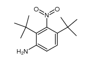 2,4-Di-t-butyl-3-nitroanilin结构式
