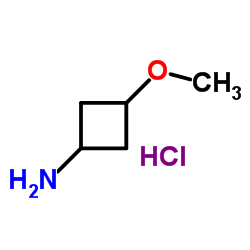 3-甲氧基环丁-1-胺盐酸盐结构式