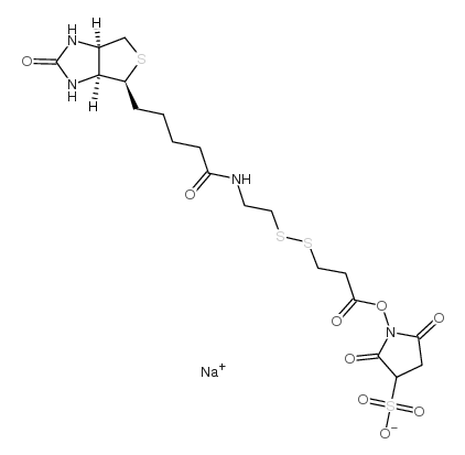 3-[[2-(生物素酰胺)乙基]二硫基]丙酸磺酸基琥珀酰亚胺酯结构式