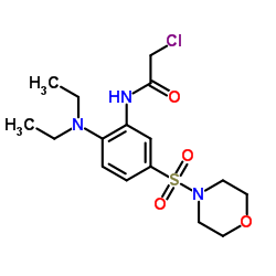 2-CHLORO-N-[2-DIETHYLAMINO-5-(MORPHOLINE-4-SULFONYL)-PHENYL]-ACETAMIDE结构式