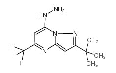 2-叔丁基-7-肼基-5-三氟甲基吡唑并[1,5-a]嘧啶结构式