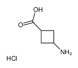 3-氨基环丁烷羧酸盐酸盐结构式