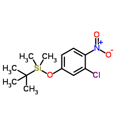 (3-Chloro-4-nitrophenoxy)(dimethyl)(2-methyl-2-propanyl)silane Structure