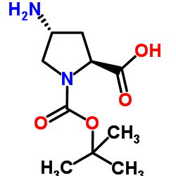 (2R,4R)-4-氨基-1,2-吡咯烷二羧酸 1-叔丁酯结构式