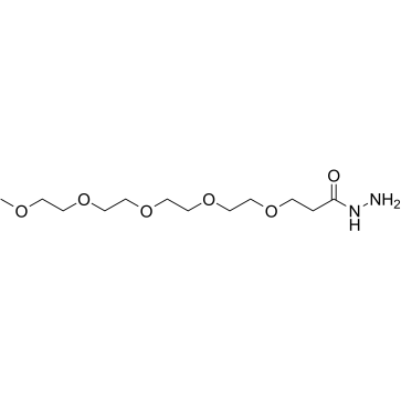 1-Amino-3,6,9,12-tetraoxapentadecane-15-hydrazide Structure