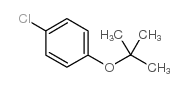 1-tert-Butoxy-4-chlorobenzene picture