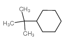 叔丁基环已烷结构式