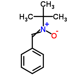 n-tert-butyl-n-[(e)-phenylmethylene]amine oxide Structure