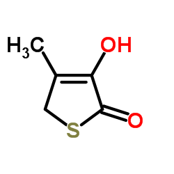 3-Hydroxy-4-methyl-2(5H)-thiophenone picture
