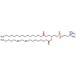 (2R)-2-[(9E,12E)-9,12-Octadecadienoyloxy]-3-(palmitoyloxy)propyl 2-(trimethylammonio)ethyl phosphate Structure
