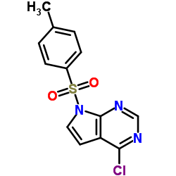 4-氯-7-对甲苯磺酰基-7H-吡咯并[2,3-d]嘧啶图片