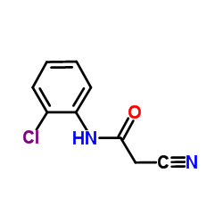 N-(2-氯苯基)-2-氰基乙酰胺结构式