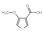 4-甲氧基噻吩-3-羧酸结构式