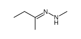 butan-2-one methylhydrazone Structure