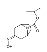 3-(羟基亚氨基)-8-氮杂双环[3.2.1]辛烷-8-羧酸 1,1-二甲基乙酯结构式