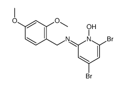 4,6-dibromo-N-[(2,4-dimethoxyphenyl)methyl]-1-hydroxypyridin-2-imine Structure