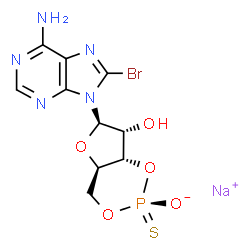 Rp-8-bromo-Cyclic AMPS Structure