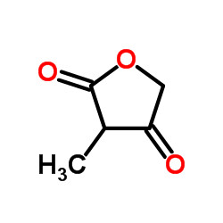 3-甲基-2,3,4,5-四氢-2,4-呋喃二酮结构式