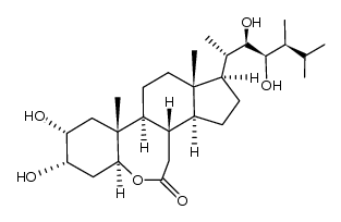 (22R,23R,24S)-2α,3α,22,23-tetrahydroxy-6-oxa-7a-homo-5α-campestan-7-one结构式