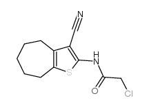 2-氯-N-(3-氰基-5,6,7,8-四氢-4H-环庚[b]噻吩-2-基)乙酰胺结构式