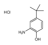 2-amino-4-tert-butylphenol,hydrochloride Structure