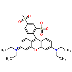 SULFORHODAMINE B 5-ACID FLUORIDE结构式