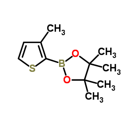 3-甲基-2-(4,4,5,5-四甲基-1,3,2-二氧杂硼烷-2-基)噻吩图片