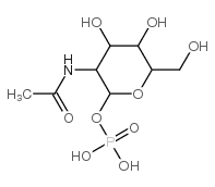 N-乙酰葡糖胺-1-磷酸结构式