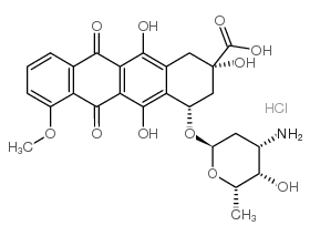 8-去乙酰基-8-羧基柔红霉素盐酸盐图片