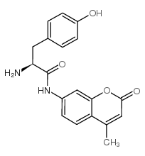 1-酪氨酸7-酰氨基-4-甲基香豆素结构式