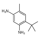 4-Methyl-6-tert-butyl-1,3-phenylenediamine结构式