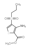 3-氨基-4-(n-丙基磺酰基)噻吩-2-羧酸甲酯结构式