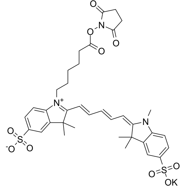 Sulfo-Cy 5 NHS Ester Structure