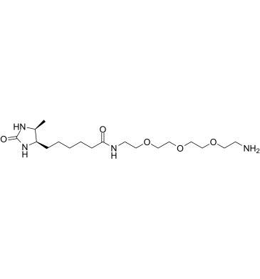 Amine-PEG3-Desthiobiotin Structure