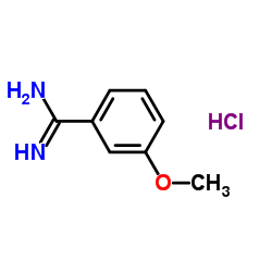 3-Methoxybenzamidine hydrochloride Structure
