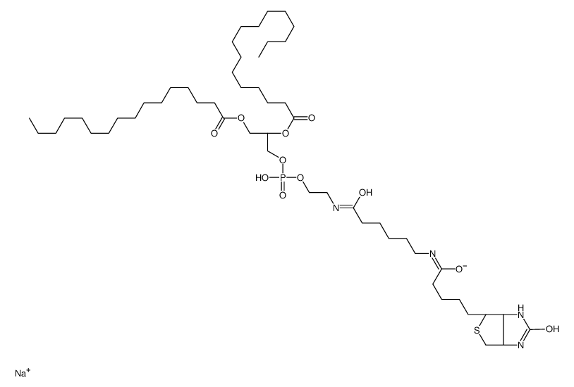 1,2-二棕榈酰基-sn-甘油-3-磷酸乙醇胺-N-(帽生物素)(钠盐)结构式