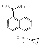 5-DIMETHYLAMINONAPHTHALENE-1-SULFONYL AZIRIDINE structure