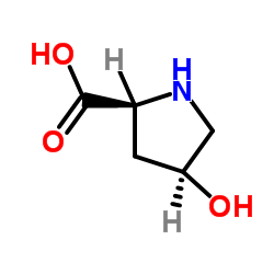 cis-4-hydroxy-L-proline structure