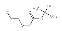2-(2-氯乙氧基)乙酸叔丁酯图片