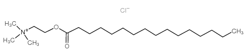 Palmitoylcholine (chloride)结构式