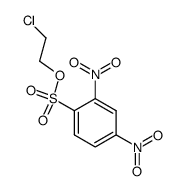 2,4-dinitro-benzenesulfonic acid-(2-chloro-ethyl ester) Structure
