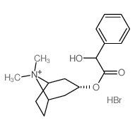 (8,8-dimethyl-8-azoniabicyclo[3.2.1]oct-3-yl) 2-hydroxy-2-phenyl-acetate Structure