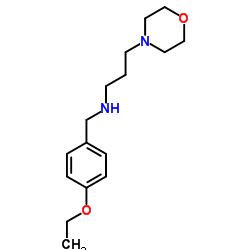 (4-ETHOXY-BENZYL)-(3-MORPHOLIN-4-YL-PROPYL)-AMINE Structure
