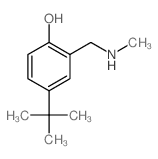 Phenol,4-(1,1-dimethylethyl)-2-[(methylamino)methyl]- structure