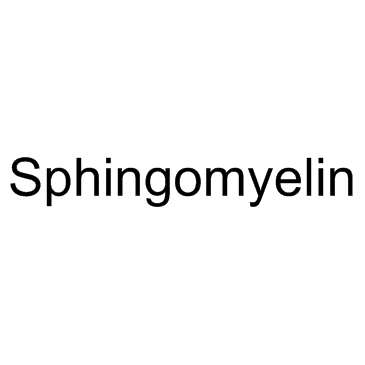 sphingomyelin Structure