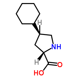 反式-4-环己基-L-脯氨酸结构式