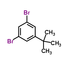 1,3-dibromo-5-tert-butylbenzene Structure