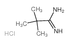 tert-butylcarbamidine hydrochloride Structure