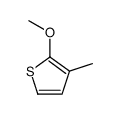 2-methoxy-3-methylthiophene Structure